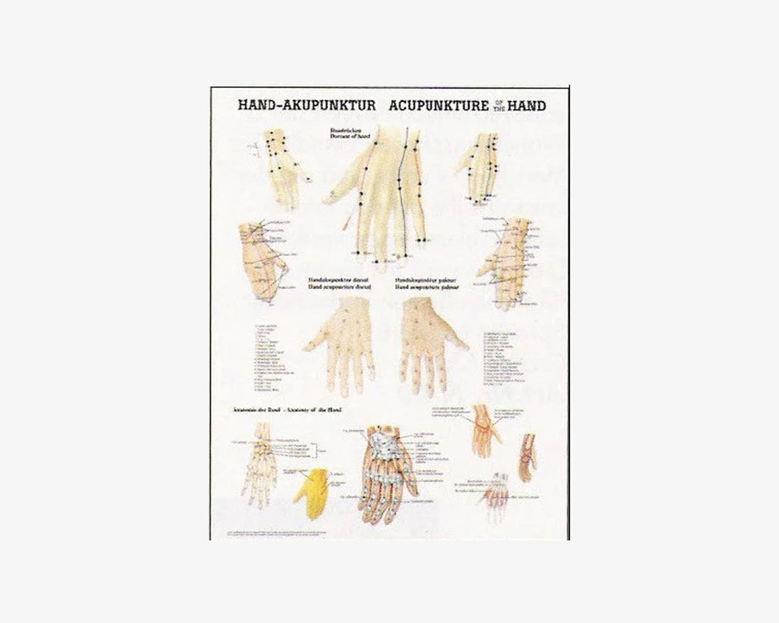 Poster: Akupunktur der Hand (deutsch/englisch)