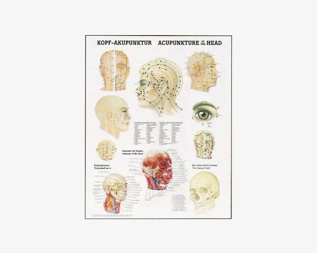 Poster: Akupunktur des Kopfes (deutsch/englisch)