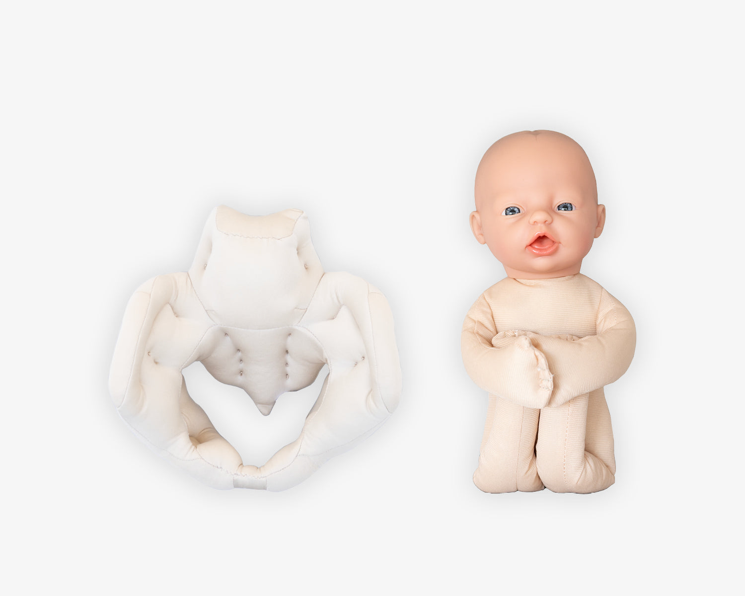 Fötus Modell und Schaumstoffbecken Set