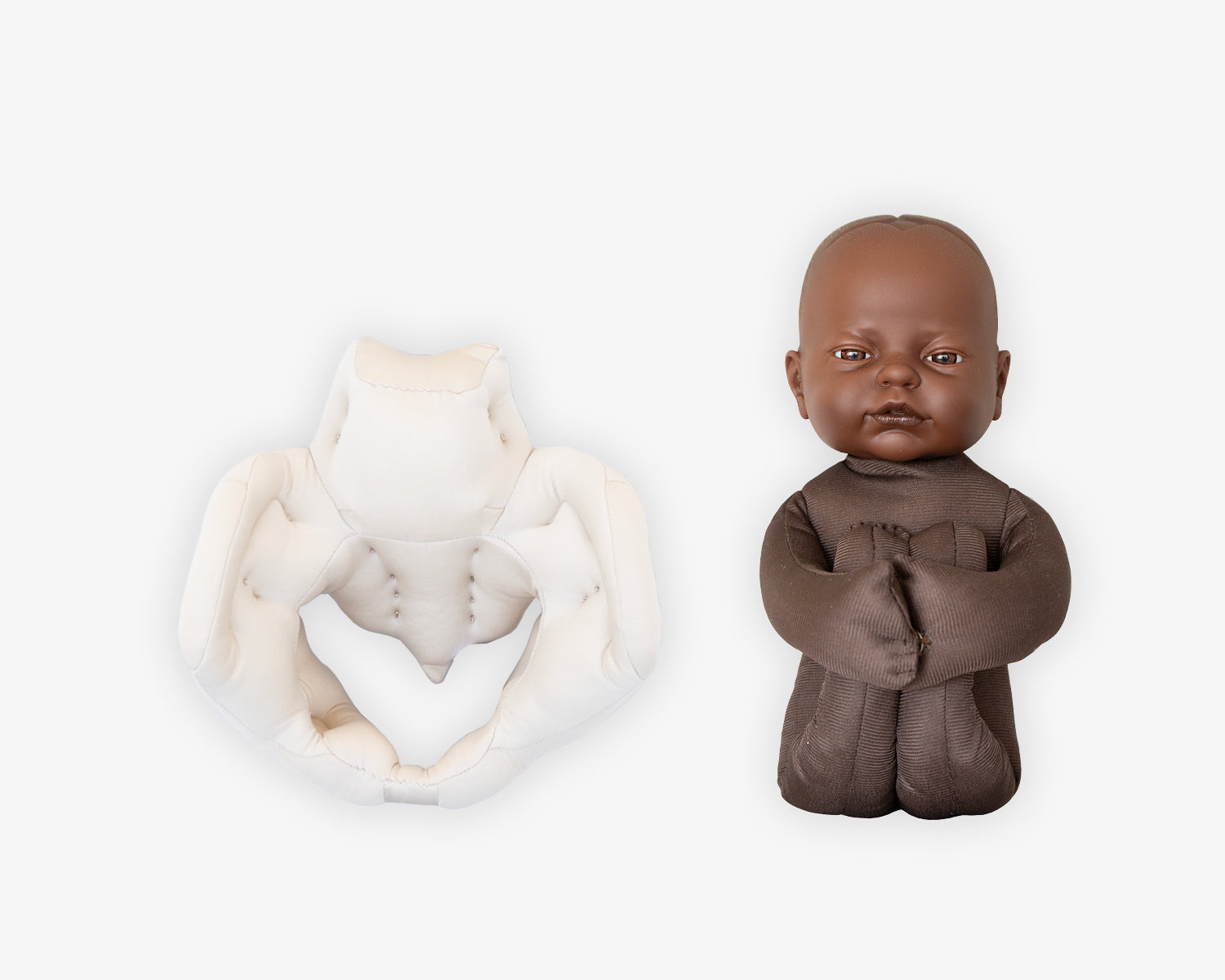 Fötus Modell und Schaumstoffbecken Set