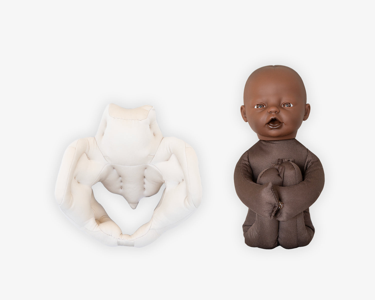 Fötus Modell und Schaumstoffbecken Set