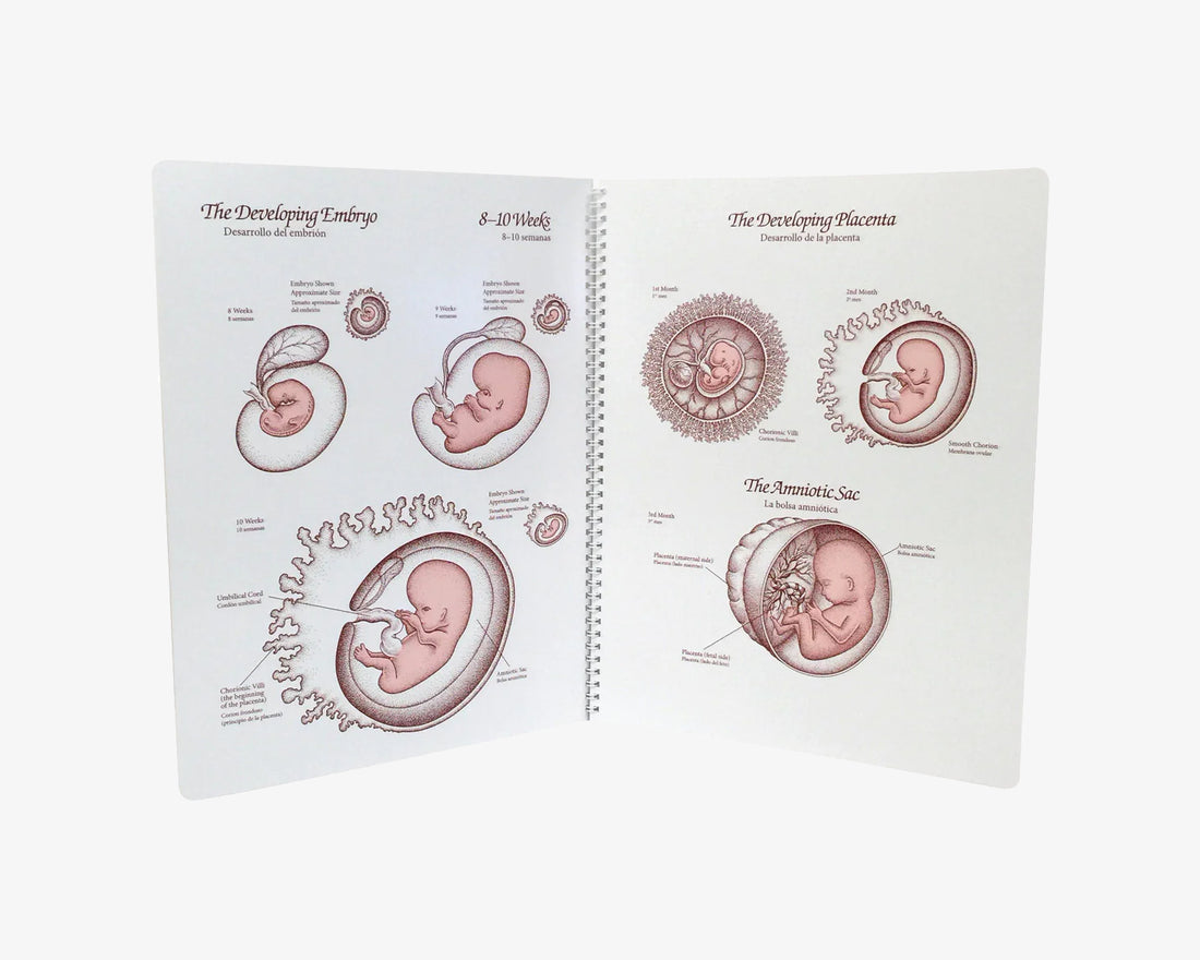 Spiralbuch Life Unto Life (englisch/spanisch)