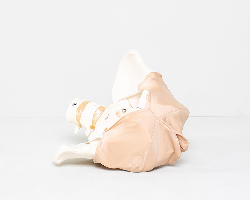 Beckenbodenmodell aus Stoff