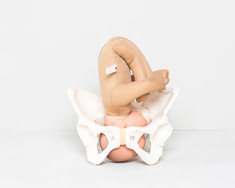 Fötus Modell und weibliches Beckenskelett II Set