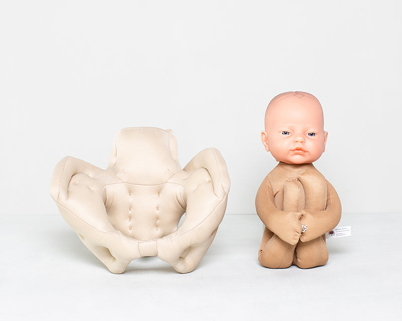 Fötus Modell und Schaumstoffbecken Set