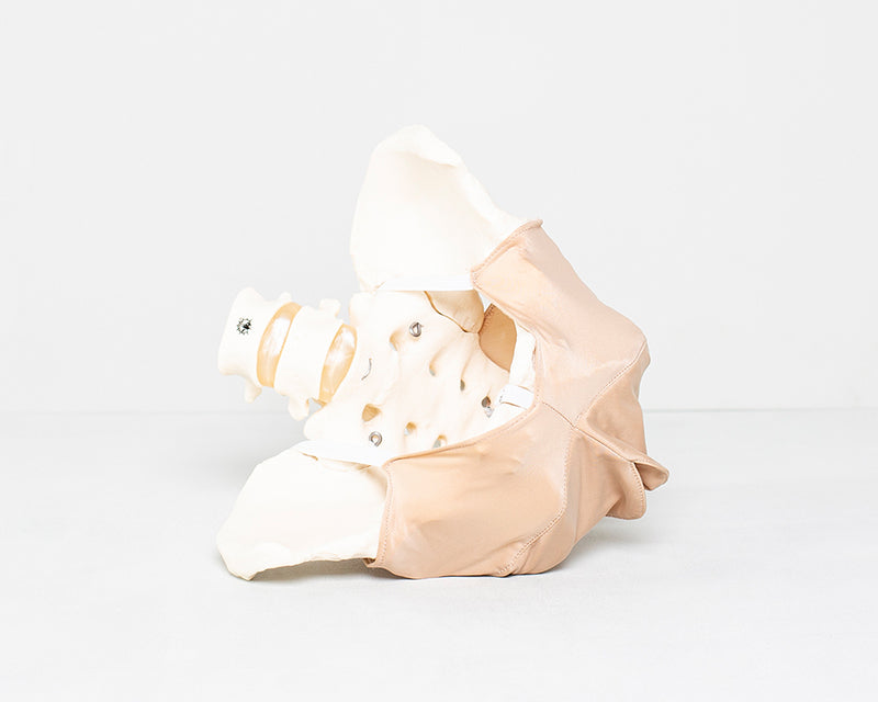 Beckenbodenmodell aus Stoff