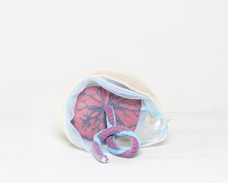 Fötus Modell und Plazenta Modell Set