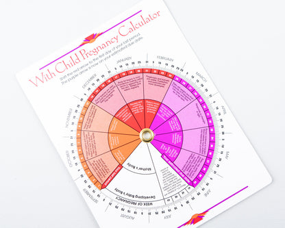 Schwangerschaftsberechnungs-Scheibe