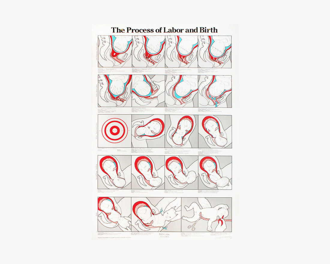 Eröffnungsperiode und Geburt Poster