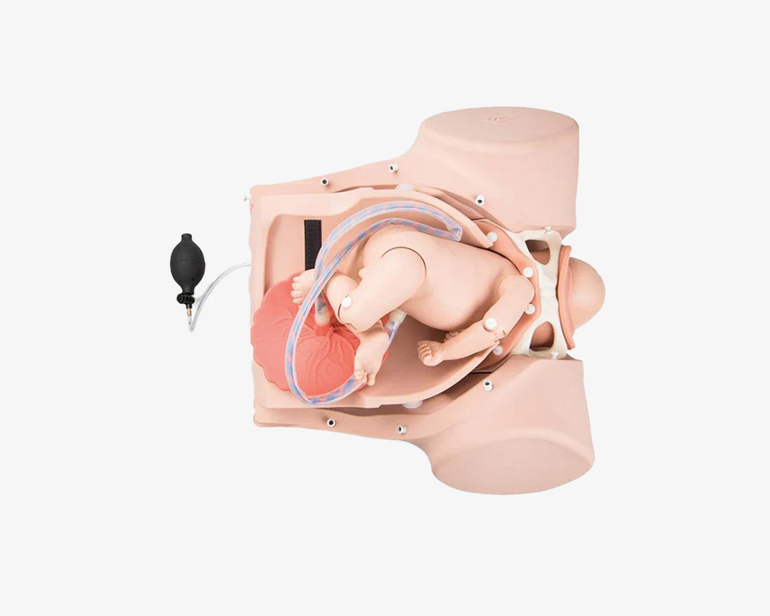 Geburtssimulator P90 Pro