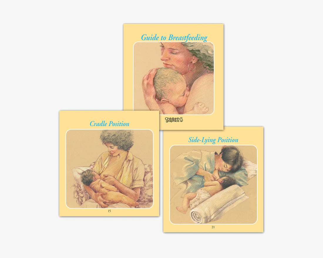 Handbuch zur Stillanleitung (englisch)