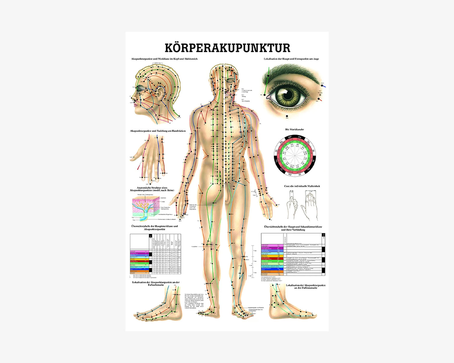 Körperakupunktur Poster
