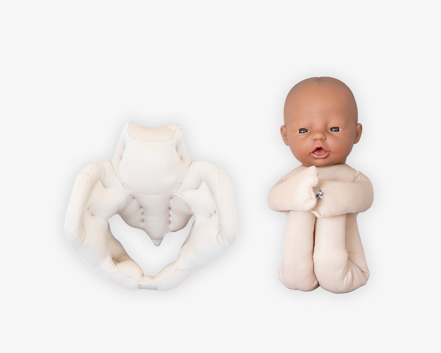 Fötus Modell und Schaumstoffbecken Set