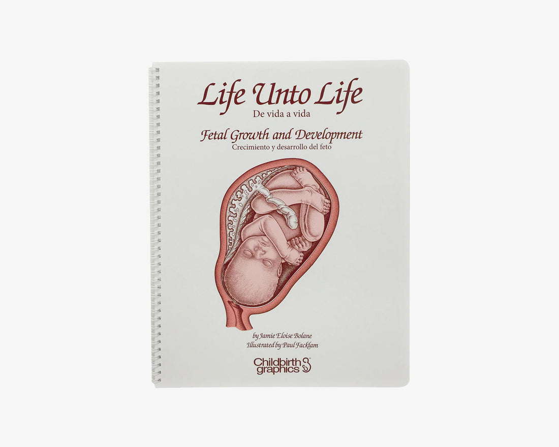 Spiralbuch Life Unto Life (englisch/spanisch)