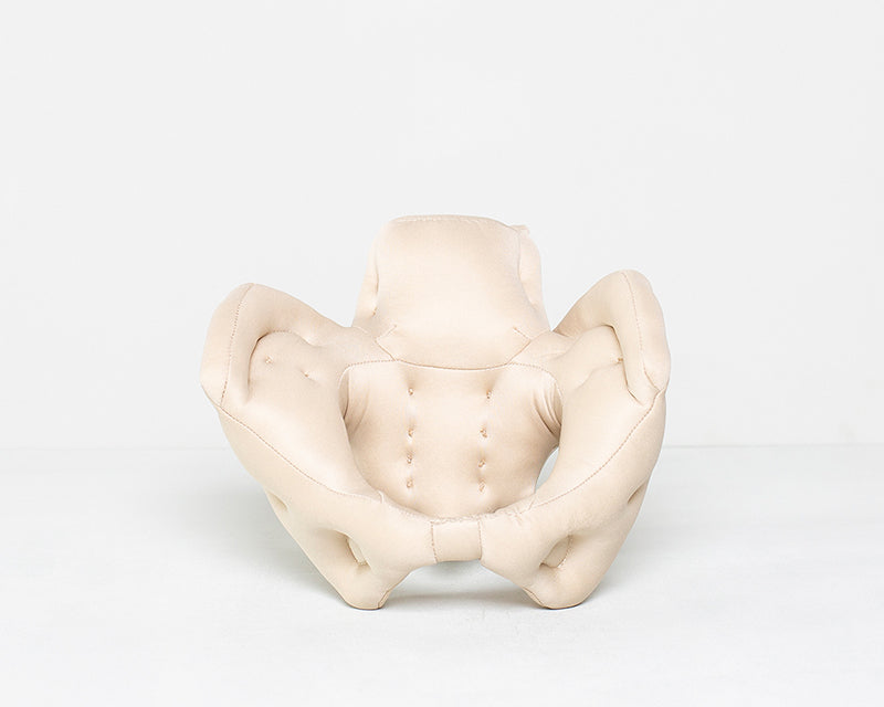 Weibliches Becken aus Schaumstoff