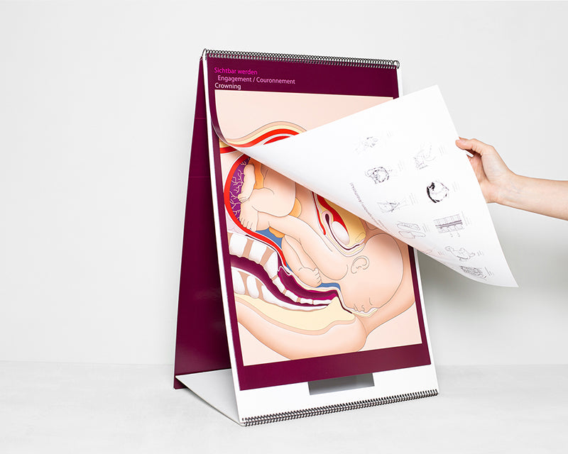 Geburtsatlas (trilingual)