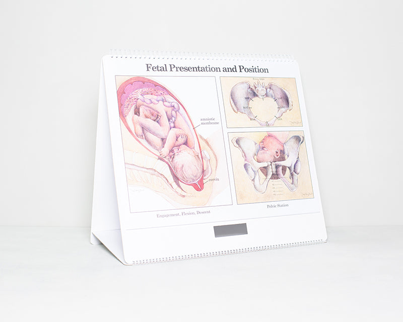 Geburtsatlas Klassik Serie (englisch)